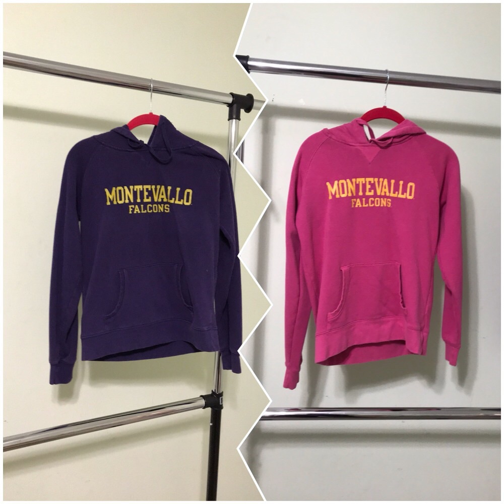 Bundle of 2 Champion brand UM Falcons hoodies